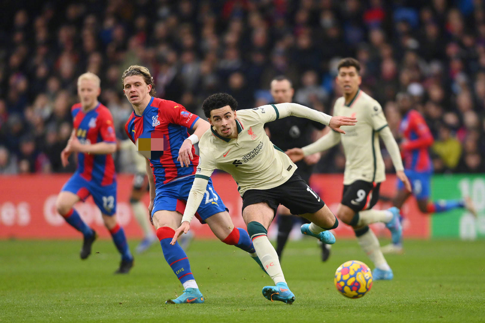 以便提高自 以便提高自